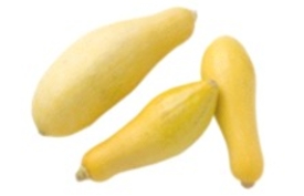Identify the vegetable shown in the picture.  