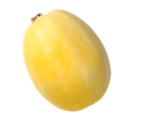 Identify the vegetable shown in the picture.  