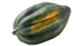 Identify the vegetable shown in the picture.  