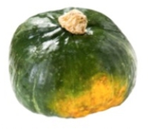 Identify the vegetable shown in the picture.  