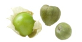 Identify the vegetable shown in the picture.  