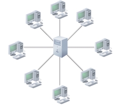   -The accompanying figure illustrates a ____ network.