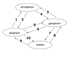 <strong>The following diagram illustrates the Carbon Cycle. Each arrow represents the transfer of carbon from one component of the Earth system to another. For example, arrow 1 represents the transfer of carbon from the biosphere to the atmosphere. Match the lettered answers below to the number on the diagram. -Match the lettered answers to number 1 on the diagram.</strong> A) Photosynthesis B) Weathering of limestone C) Respiration D) Rock formation E) Fossil fuel formation