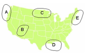 <strong>Use the map to answer this question. -Identify the continental tropical air mass.</strong> A) A B) B C) C D) D E) E