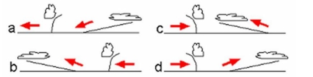 <strong>The illustrations below represent a slice through the cold and warm fronts along line X- Y on the map. Which of the images below best represents conditions along the line X-Y? </strong> A) Diagram a B) Diagram b C) Diagram c D) Diagram d
