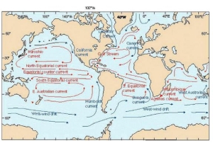 <strong>Use the schematic shown below to answer this question. -What causes the circular patterns?</strong> A) Winds B) Ocean thermal effects C) Ocean salinity effects D) Ocean thermal and salinity effects