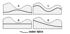 The four schematic cross sections below show the potential groundwater resources for an area of hills and valleys. Assume the region is underlain by an open aquifer composed of sand and gravel and receives plentiful rainfall. Which diagram is the best representation of the relationship between topography and water table?