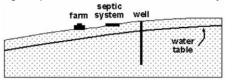 <strong>A farmer drilled a well into an open aquifer composed of sand and gravel. He installed a septic system downslope from the drinking well (see diagram). A few years later the septic system started to leak. Water tests showed that the well water was clean and uncontaminated by bacteria present in the septic system. Why did the septic system not contaminate the drinking water supply?  </strong> A) The bacteria were drowned in the groundwater. B) The groundwater flow carried water away from the well. C) Gravel has a low permeability that makes it difficult for bacteria to travel from the septic system to the well. D) The septic system is not located in the aquifer's recharge zone. <div style=padding-top: 35px> 