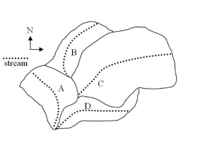 <strong>The following diagram illustrates streams in a set of drainage basins. -All other variables related to stream size being equal, which stream in the diagram above will have the largest discharge?</strong> A) A B) B C) C D) D