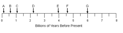 <strong>Carefully examine the relative positions of the lettered arrows on the timeline below and estimate the ages represented by each arrow. Assume all rocks are sedimentary unless otherwise indicated. Use the chart to answer this question. -Which represents the extinction of the dinosaurs?</strong> A) A B) B C) C D) D E) E