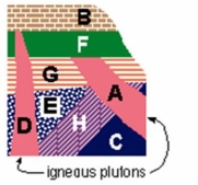 <strong>Using the diagram below, what is the possible age of F if A is 100 million years old and D is 70 million years old?</strong> A) 85 M yrs B) 170 M yrs C) 55 M yrs D) 110 M yrs