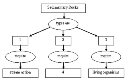 Complete the following concept map. -Complete the following concept map for number 3.