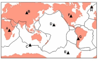 Use the following map to answer this question. -Identify a volcano that is most likely to have both basalt and rhyolite as products of its eruption.