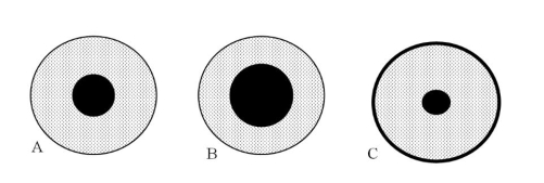 <strong>Which of the following images best represents the crust, mantle and core of Earth?  </strong> A) Diagram A B) Diagram B C) Diagram C <div style=padding-top: 35px> 