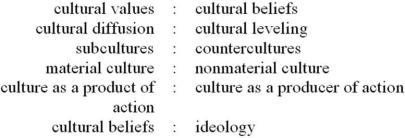 Pick XXX pairs of words from the following list. Define the terms in each pair. Provide an example with each definition. (In your answer, make sure to indicate which terms you are defining!)