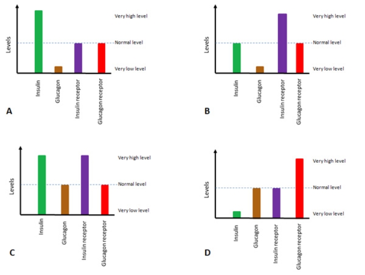 <strong>Roger has dangerously high levels of glucose in his blood. Genetic and protein tests reveal that he has mutations in two genes and abnormal amounts or activity of the proteins encoded by those two genes. What would be the most likely match to Roger's protein profile? </strong> A) A B) B C) C D) D