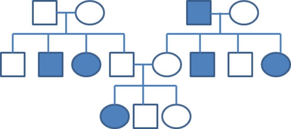 <strong>Below is a pedigree for a particular human trait. Affected individuals are illustrated by the shaded in circles or squares. This particular pedigree does not yet have a particular shading pattern for carriers. As a result, some of these individuals may be carriers for the trait. What is the mechanism of inheritance of this trait? </strong> A) Sex-linked recessive B) Autosomal dominant C) Autosomal recessive D) Mitochondrial