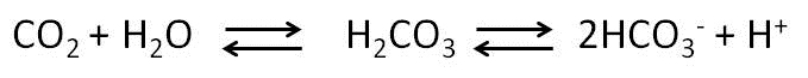 <strong>Carbonic anhydrase (CA), an enzyme widely present in plant and animal tissues, catalyzes the reaction: This reaction is important for the maintenance of acid base balance in blood and other tissues and to help transport CO<sub>2</sub> out of tissues; without a catalyst, this reaction would not occur at rates that could maintain homeostasis. In the figure below, which line(s) represents the reaction catalyzed by carbonic anhydrase? </strong> A) Line B; the activation energy has been lowered. B) Line A; the activation energy increased. C) Lines A and B; product is shown for both lines. D) Line A; more energy is supplied. E) Either, as the free energy is the same for both.