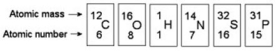 <strong>Refer to the following figure to answer the questions below. How many electrons will a single atom of sulfur with no charge and no bonds have in its valence shell?</strong> A) 6 B) 8 C) 16 D) 32