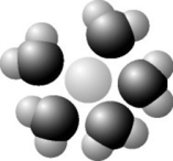 <strong>Use the following figure to answer the question. Based on your knowledge of the polarity of water molecules, the solute molecule depicted is most likely ________.</strong> A) positively charged B) negatively charged C) without charge D) nonpolar