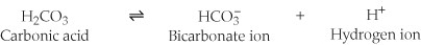 One of the buffers that contribute to pH stability in human blood is carbonic acid (H₂CO₃). Carbonic acid is a weak acid that, when placed in an aqueous solution, dissociates into a bicarbonate ion (HCO₃⁻) and a hydrogen ion (H⁺). (See figure.) If the pH of blood drops, one would expect ________.