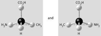 <strong>Which of the pairs of molecular structures shown depict enantiomers (enantiomeric forms) of the same molecule?</strong> A)   B)   C)   D)   <div style=padding-top: 35px> 