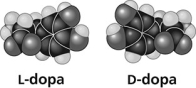 <strong>Use the figure to answer the question.   Thalidomide and L-dopa (see figure) are examples of pharmaceutical drugs that occur as enantiomers, or molecules that ________.</strong> A) have identical three-dimensional shapes B) are mirror images of one another C) are mirror images of one another and have the same biological activity D) are cis-trans isomers <div style=padding-top: 35px> 