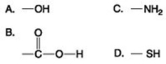 <strong>Use the figures to answer the question.   Which of the functional groups shown is present in ethanol but not in ethane?</strong> A) A B) B C) C D) D <div style=padding-top: 35px> 