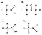 Use the figures to answer the question. Which molecule shown can increase the concentration of hydrogen ions in a solution and is therefore an organic acid?