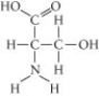 <strong>  Which functional group is not present in this molecule?</strong> A) carboxyl B) sulfhydryl C) hydroxyl D) amino <div style=padding-top: 35px> 