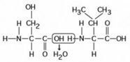 <strong>Use the following figure to answer the question. The chemical reaction illustrated ________.</strong> A) is a hydrolysis reaction B) results in a peptide bond C) joins two fatty acids together D) links two polymers to form a monomer