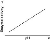 <strong>Which of the following graphs most likely describes the effect of pH on the function of the enzyme catalase in human cells? Note: The x-axis is pH and the y-axis is enzyme activity.</strong> A) B) C) D)