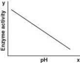 <strong>Which of the following graphs most likely describes the effect of pH on the function of the enzyme catalase in human cells? Note: The x-axis is pH and the y-axis is enzyme activity.</strong> A) B) C) D)