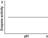 <strong>Which of the following graphs most likely describes the effect of pH on the function of the enzyme catalase in human cells? Note: The x-axis is pH and the y-axis is enzyme activity.</strong> A) B) C) D)