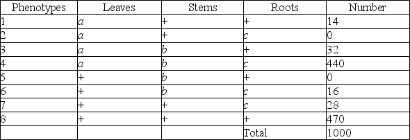 <strong>Use the following information to answer the question. A plantlike organism on the planet Pandora can have three recessive genetic traits: bluish leaves, due to an allele (a) of gene A; a feathered stem, due to an allele (b) of gene B; and hollow roots due to an allele (c) of gene C. The three genes are linked and recombine. A geneticist performed a testcross with an organism that had been found to be heterozygous for the three recessive traits, and she was able to identify progeny of the following phenotypic distribution (+ = wild type): Which of the progeny phenotypes will require recombination between genes A and B?</strong> A) 1, 2, 5, and 6 B) 1, 3, 6, and 7 C) 2, 4, 5, and 8 D) 2, 3, 5, and 7