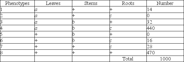 <strong>Use the following information to answer the question. A plantlike organism on the planet Pandora can have three recessive genetic traits: bluish leaves, due to an allele (a) of gene A; a feathered stem, due to an allele (b) of gene B; and hollow roots due to an allele (c) of gene C. The three genes are linked and recombine. A geneticist performed a testcross with an organism that had been found to be heterozygous for the three recessive traits, and she was able to identify progeny of the following phenotypic distribution (+ = wild type): If recombination frequency is equal to distance in map units, what is the approximate distance between genes A and B?</strong> A) 3 map units B) 6 map units C) 15 map units D) 30 map units