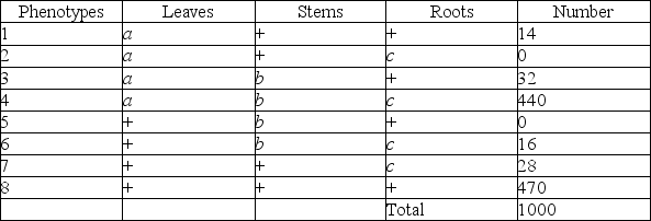 <strong>Use the following information to answer the question. A plantlike organism on the planet Pandora can have three recessive genetic traits: bluish leaves, due to an allele (a) of gene A; a feathered stem, due to an allele (b) of gene B; and hollow roots due to an allele (c) of gene C. The three genes are linked and recombine. A geneticist performed a testcross with an organism that had been found to be heterozygous for the three recessive traits, and she was able to identify progeny of the following phenotypic distribution (+ = wild type): What is the greatest benefit of having used a testcross for this experiment?</strong> A) The homozygous recessive parents are obvious to the naked eye. B) The homozygous parents are the only ones whose crossovers make a difference. C) The phenotypes of the progeny reveal the allelic content of the gamete from the heterozygous parent. D) All of the progeny will be heterozygous.
