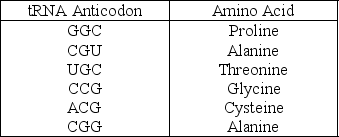 Use the following information to answer the question. A part of an mRNA molecule with the following sequence is being read by a ribosome: 5′-CCG-ACG-3′ (mRNA). The following charged transfer RNA molecules (with their anticodons shown in the 3′ to 5′ direction) are available. Two of them can correctly match the mRNA so that a dipeptide can form. Which of the following anticodons in the first tRNA to bind will complement this mRNA?