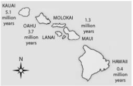 <strong>  Soon after the island of Hawaii rose above the sea surface (somewhat less than one million years ago), the evolution of life on this new island should have been most strongly influenced by ________.</strong> A) a genetic bottleneck B) sexual selection C) habitat differentiation D) the founder effect <div style=padding-top: 35px> 