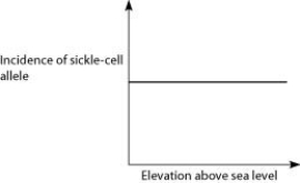 <strong>Anopheles mosquitoes, which carry the malaria parasite, cannot live above elevations of 5,900 feet. In addition, oxygen availability decreases with higher altitude. Consider a hypothetical human population that is adapted to life on the slopes of Mt. Kilimanjaro in Tanzania, a country in equatorial Africa. Mt. Kilimanjaro's base is about 2,600 feet above sea level and its peak is 19,341 feet above sea level. If the incidence of the sickle-cell allele in the population is plotted against altitude (feet above sea level), which of the following distributions is most likely, assuming little migration of people up or down the mountain?</strong> A)   B)   C)   D)   <div style=padding-top: 35px> 