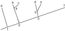 <strong>The following phylogeny shows six living species (a-f) and five ancestral (now extinct) species (#1-5). If the phylogeny had been developed on the basis of similarities in bone structure, which of the following predictions would you make in terms of the structure of a particular enzyme? </strong> A) The enzymes of species b and f are very similar. B) The enzymes of species b and c are more similar to ancestor #4 than to ancestor 2 C) The enzymes of species a and b are the same as that of ancestor #2. D) The enzyme of species c is very similar to that of species d.