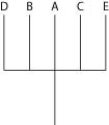 <strong>The question refers to the following table, which compares the percent sequence homology of four different parts (two introns and two exons) of a gene that is found in five different eukaryotic species. Each part is numbered to indicate its distance from the promoter (for example, Intron I is the one closest to the promoter). The data reported for species A were obtained by comparing DNA from one member of species A to another member of species A. % Sequence Homology Based on the tabular data, and assuming that time advances vertically, which phylogenetic tree is the most likely depiction of the evolutionary relationships among these five species?</strong> A) B) C) D)