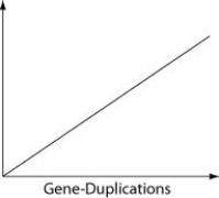 <strong>Which of the following items is most likely to form a simple linear relationship with the number of gene-duplication events, when placed as the label on the vertical axis of the following graph? </strong> A) number of mitochondria B) number of cells/organism C) genome size D) phenotypic complexity