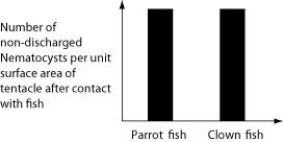 <strong>Use the following information to answer the question. An elementary school science teacher decided to liven up the classroom with a saltwater aquarium. Knowing that saltwater aquaria can be quite a hassle, the teacher proceeded stepwise. First, the teacher conditioned the water. Next, the teacher decided to stock the tank with various marine invertebrates, including a polychaete, a siliceous sponge, several bivalves, a shrimp, several sea anemones of different types, a colonial hydra, a few coral species, an ectoproct, a sea star, and several herbivorous gastropod varieties. Lastly, she added some vertebrates-a parrot fish and a clown fish. She arranged for daily feedings of copepods and feeder fish. Normally, the clown fish readily swims among the tentacles of the sea anemones; the parrot fish avoids them. One hypothesis for the clown fish's apparent immunity is that they slowly build a tolerance to the sea anemone's toxin. A second hypothesis is that a chemical in the mucus that coats the clown fish prevents the nematocysts from being triggered. Which of the following graphs supports the first, but not the second, of these hypotheses?</strong> A) B) C) D)