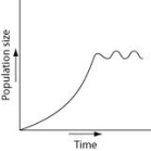 <strong>Which of the following graphs illustrates the population growth curve starting with a single bacterium growing in a flask of ideal medium at optimum temperature over a two-hour period? Assume resources do not become limiting over this time frame.</strong> A) B) C) D)