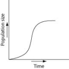 <strong>Which of the following graphs best illustrates the growth curve of a small population of rodents that has increased to a static carrying capacity?</strong> A) B) C) D)