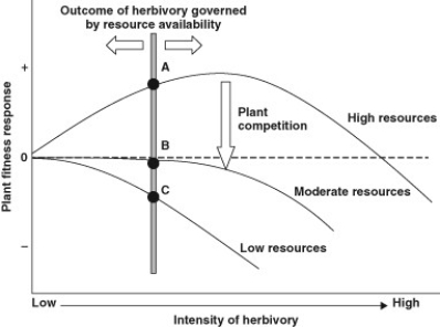 Use the figure to answer the following question. The figure proposes a combination of a top-down and bottom-up model (a hypothesis) to describe the variable effects of biological control herbivores on the fitness (growth and reproduction) of an invasive, non-native plant, spotted knapweed (Centaurea stoebe). These herbivores include multiple insects that were first studied in the plant's native home range in eastern Europe, where the plant is not dominant in grassland communities and does not pose a problem to land managers and conservationists. Many insects there were found to consume the plant's tissues, including stems, leaves, and seeds, and some were very host specific and were not found to attack plants other than C. stoebe. Several insects were subsequently transported and released in an attempt to reduce densities of this non-native and problematic weed in the United States. The y-axis shows C. stoebe plant fitness, and the x-axis represents the intensity of herbivory by the insects, from low to high. As the vertical shaded bar is moved along the x-axis, the ultimate effect of herbivory (now A, B, andC) on plant fitness can change based on its intensity and also may depend on the other factors. The horizontal dashed line represents no predicted change in fitness under the effects of varying intensity of herbivory, plant competition, and soil resources available to the plant (such as nitrogen or water), while the three solid lines represent other possible outcomes. (D)G. Knochel and T.R. Seastedt. 2011. Reconciling contradictory findings of herbivore impacts on spotted knapweed (Centaurea stoebe) growth and reproduction. Ecological Applications 20(7):1903-1912. What portion of the model would be characterized as bottom-up?
