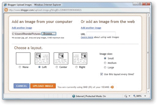 -In the accompanying figure, the Choose a Layout section specifies the<u> size</u> of the image within the blog post.