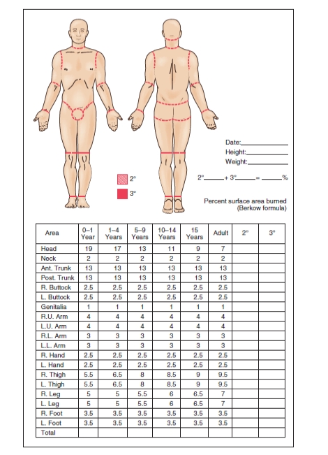 <strong>An 11-year-old child received burns over both upper and lower arms,both hands,anterior upper and lower legs,anterior chest,and the neck.Using the following as a guide,what is this child's total body surface area burned? Text Figure 51.8</strong> A) 30 % B) 42 % C) 57 % D) 65 %