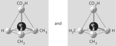 <strong>Which of the pairs of molecular structures shown below depict enantiomers (enantiomeric forms) of the same molecule?</strong> A) B) C) D) E)